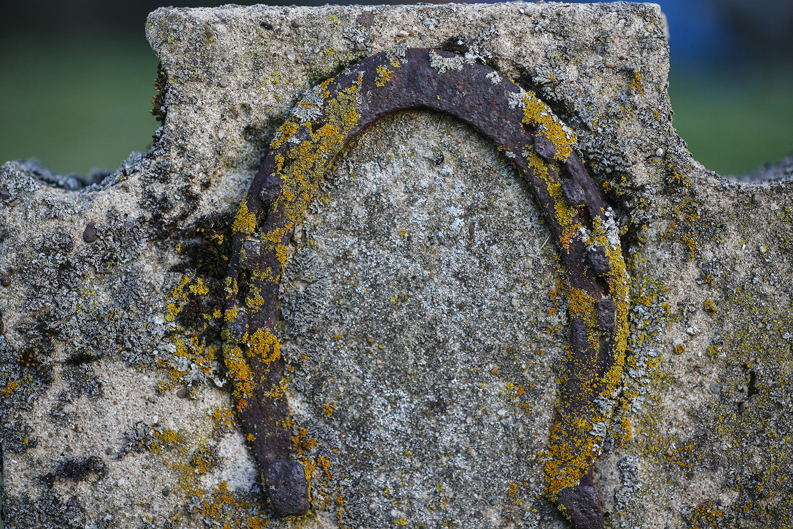 Dozens of African American jockeys, groomsmen and farriers from the turn of the 20th century are interred at African Cemetery #2 located on a small lot in a suburban neighborhood in North Lexington.